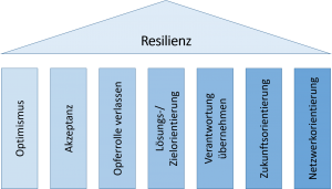 Resilienz, 7 Säulen